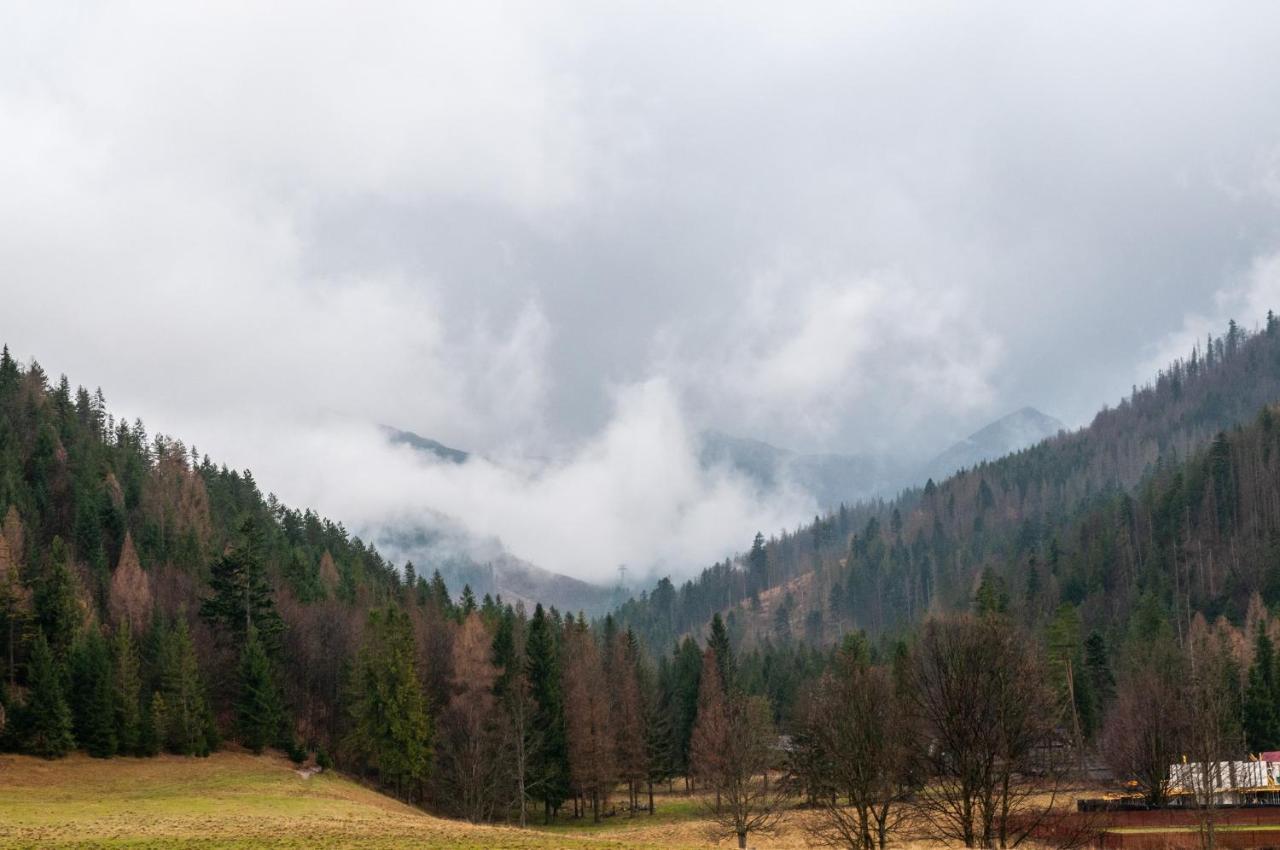 Willa Pod Nosalem III Zakopane Exterior foto